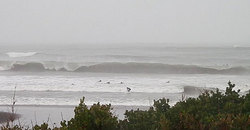 141129-830taito7.jpg